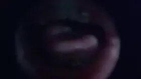 布鲁比呐呐_鱼眼镜头鱼眼镜头_3_1