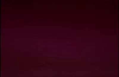 电子小狼_(3) 电子小狼_(3)