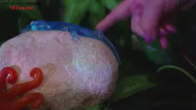 yoonying_触手岛冒险角色扮演_触手岛冒险角色扮演 yoonying_触手岛冒险角色扮演_触手岛冒险角色扮演