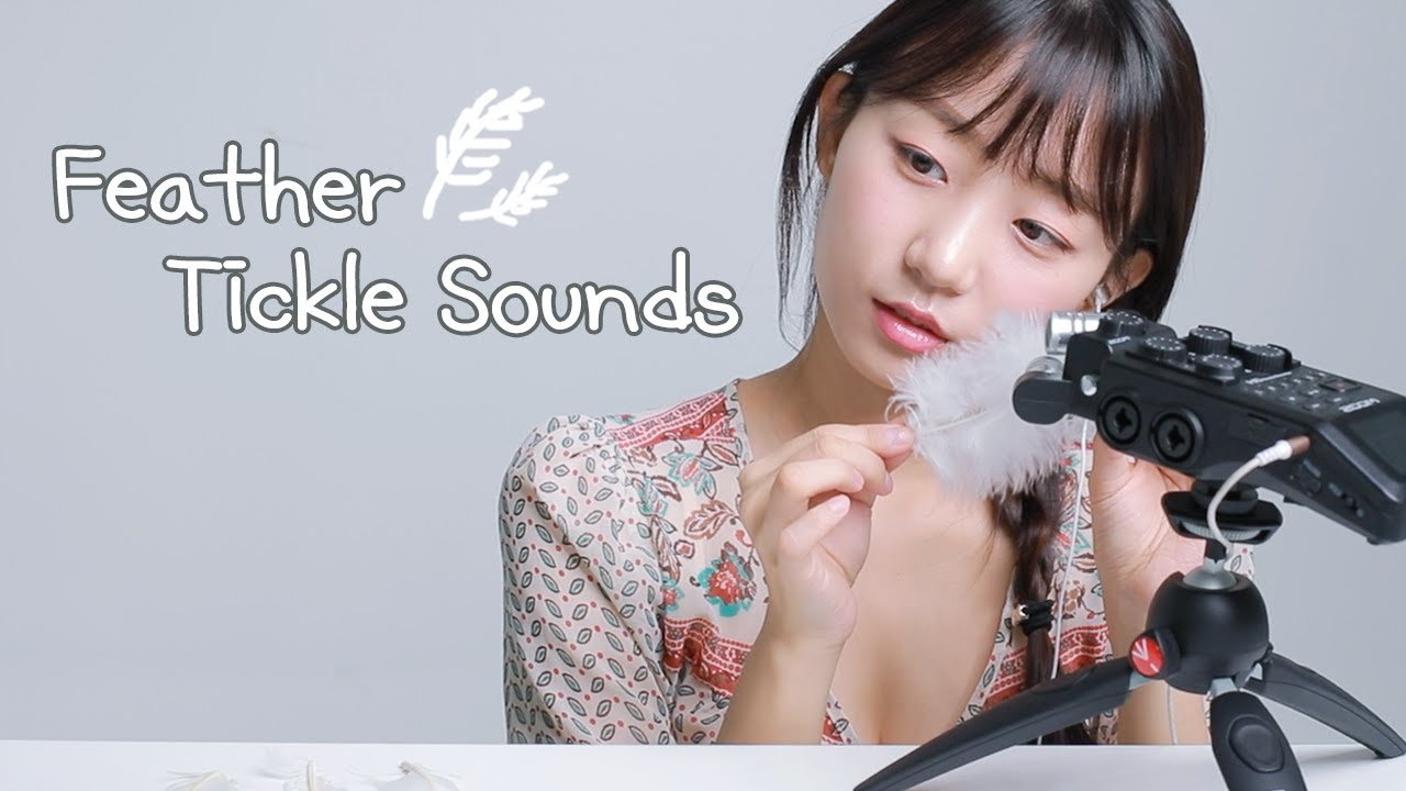 Milky 各种各样羽毛的声音