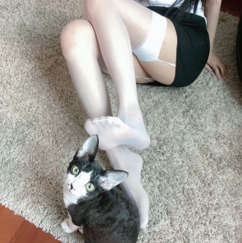 51酱 – 全套15期&随包视频[4.1G-2025.8]